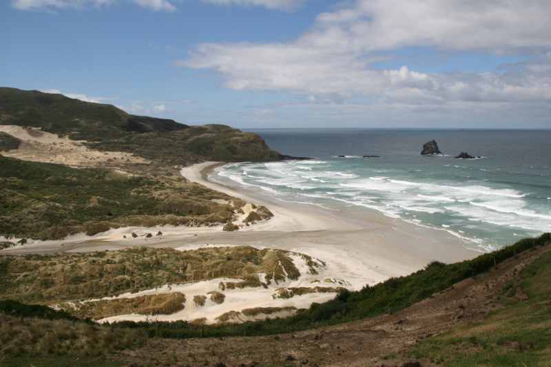 Nieuw-Zeeland 2011 - 1943